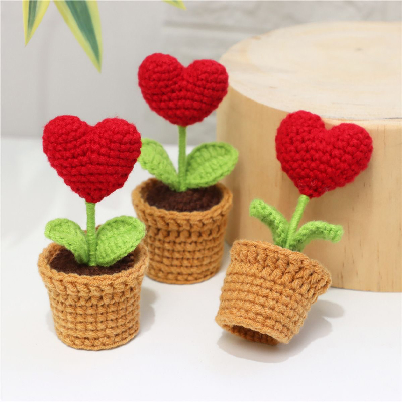 Plant Pot Small Desk - Mini Rosa in Vaso Intrecciata a