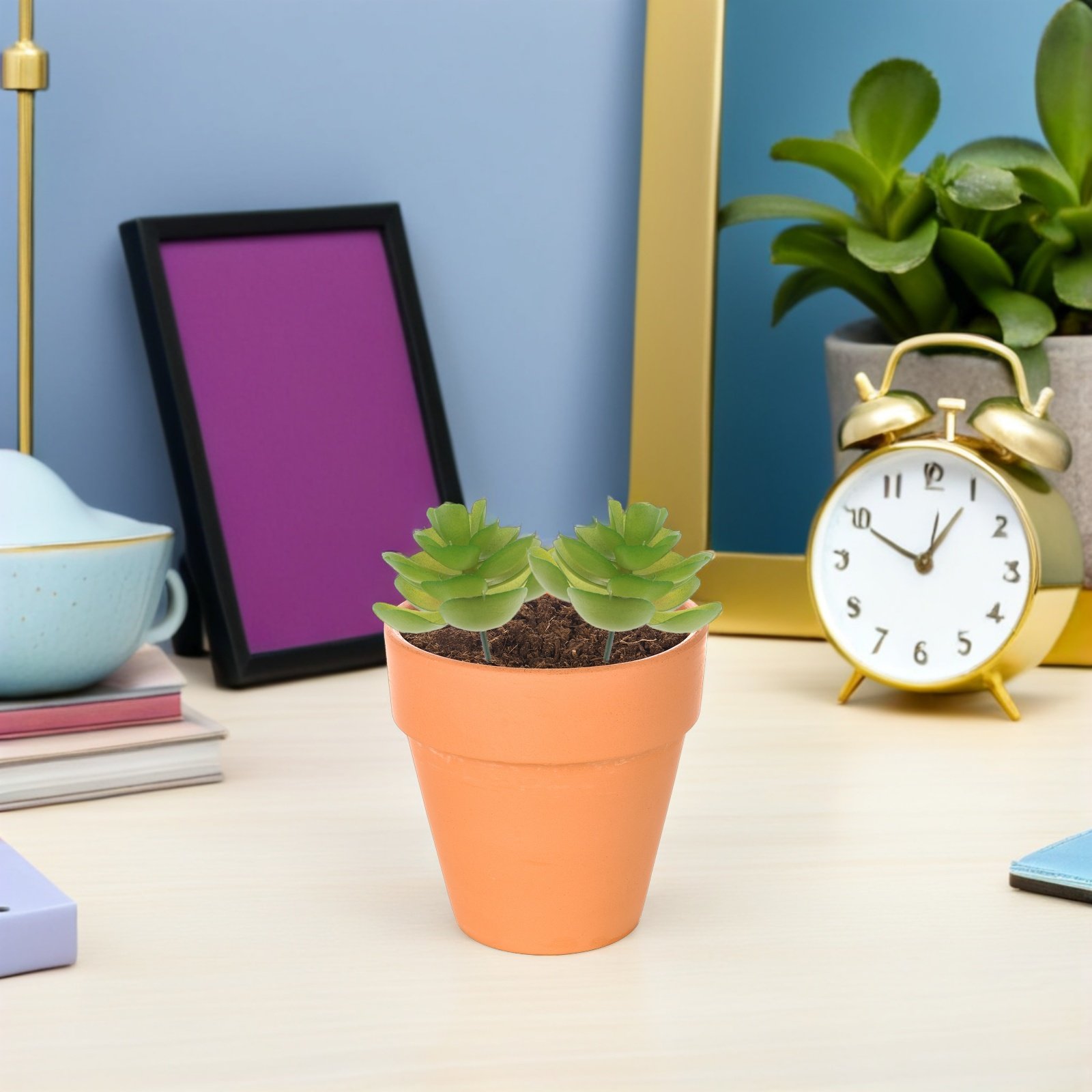 6 Piante Succulente Artificial - Plant Pot Small Desk recensione e prezzo
