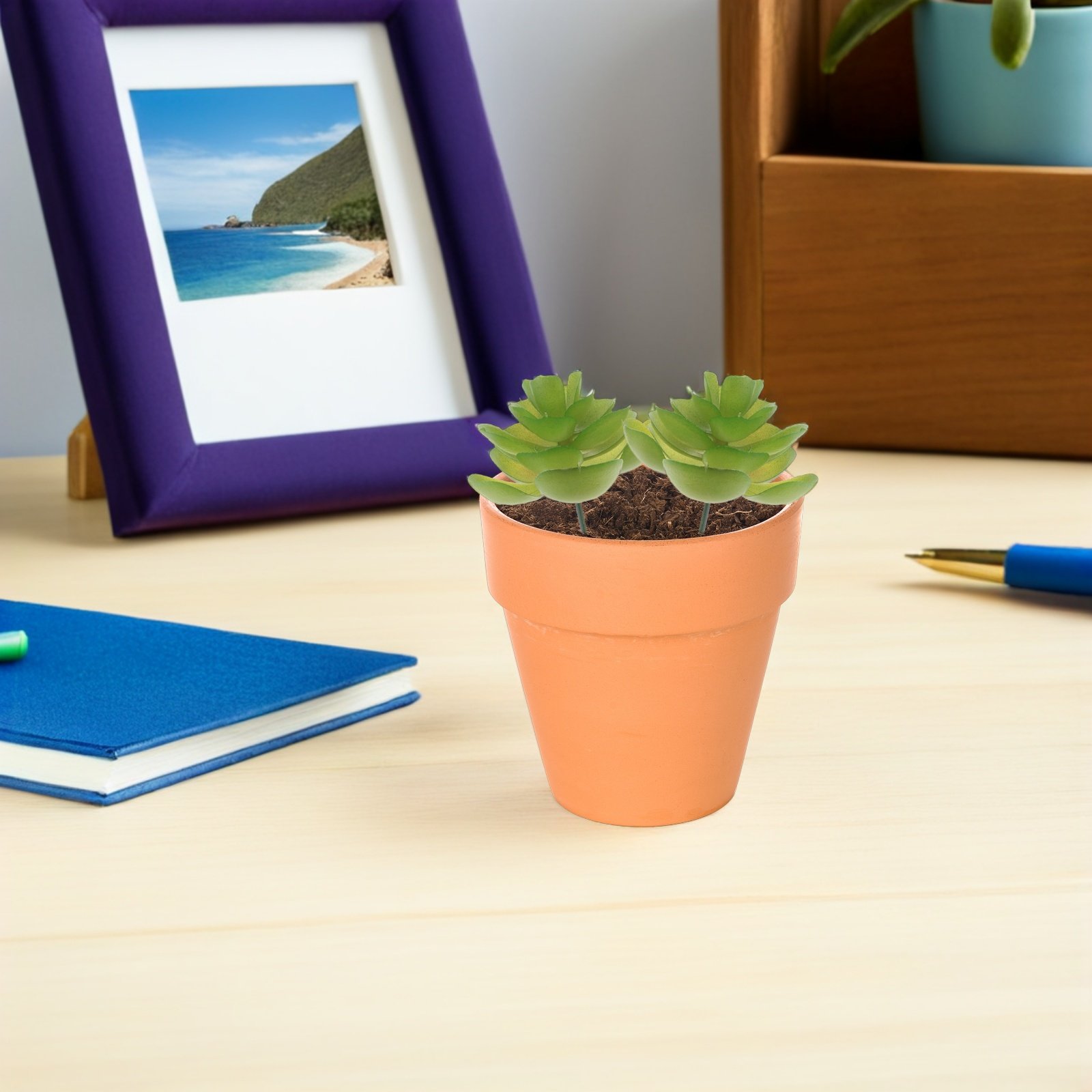 6 Piante Succulente Artificial - Plant Pot Small Desk recensione e prezzo