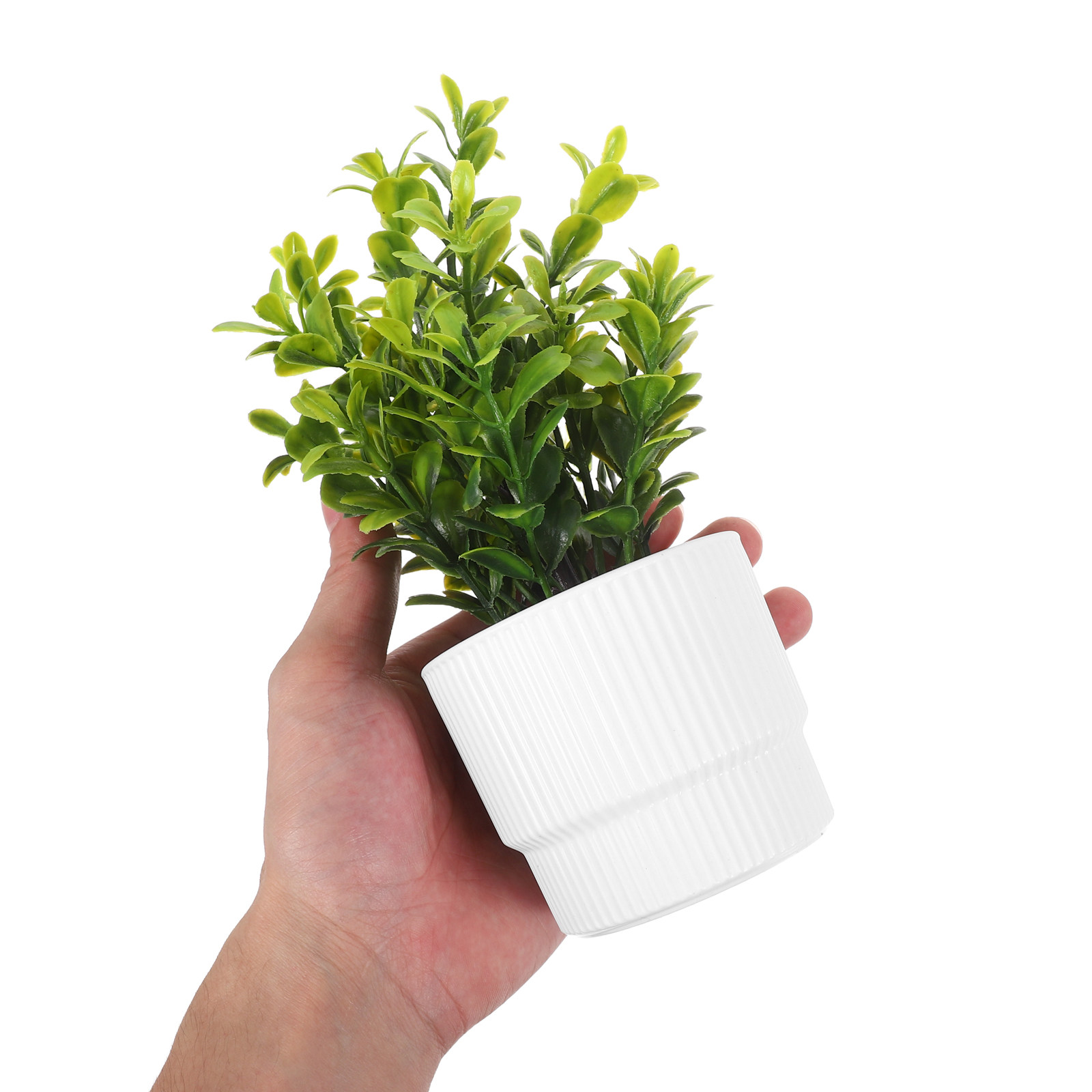 Set di 3 Piccole Piante di Euc - Plant Pot Small Desk recensione e prezzo