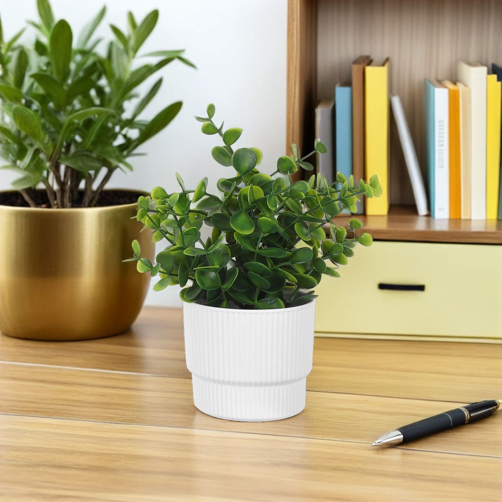 Set di 3 Piccole Piante di Euc - Plant Pot Small Desk recensione e prezzo