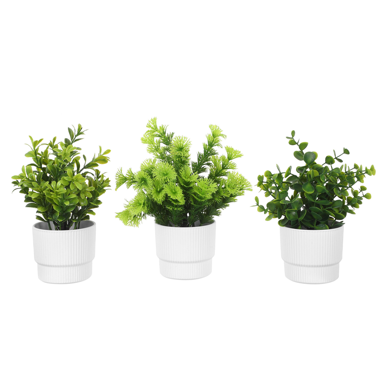 Set di 3 Piccole Piante di Euc - Plant Pot Small Desk recensione e prezzo