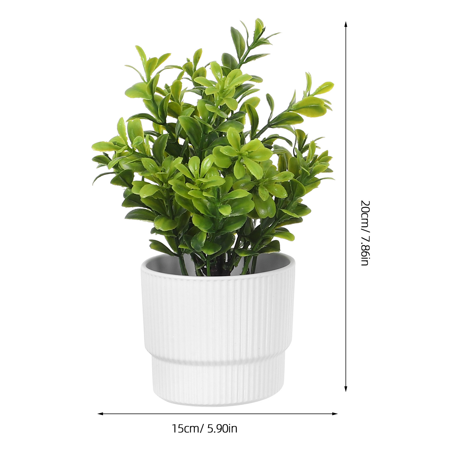 Set di 3 Piccole Piante di Euc - Plant Pot Small Desk recensione e prezzo