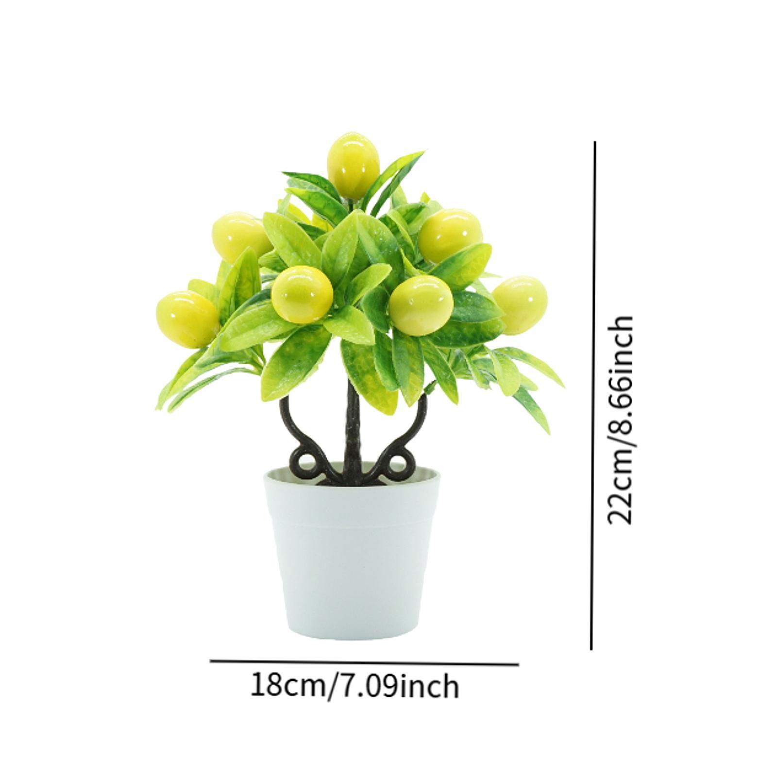 Piante Artificiali in Vaso, Bo - Plant Pot Small Desk recensione e prezzo