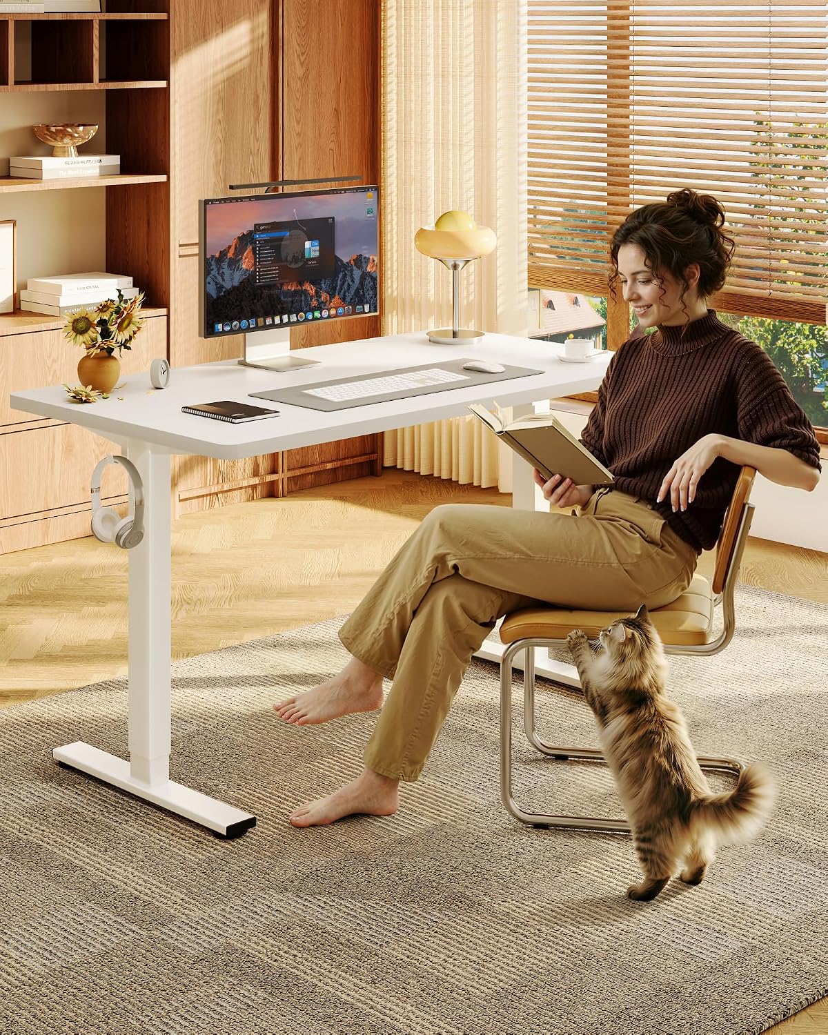 FLEXISPOT EN1 Scrivania Regola - Desk Setup One Monitor recensione e prezzo