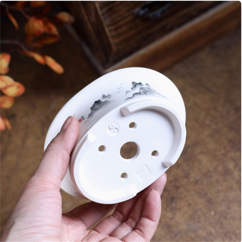 Vaso per bonsai ovale bianco i - Plant Pot Small Desk recensione e prezzo