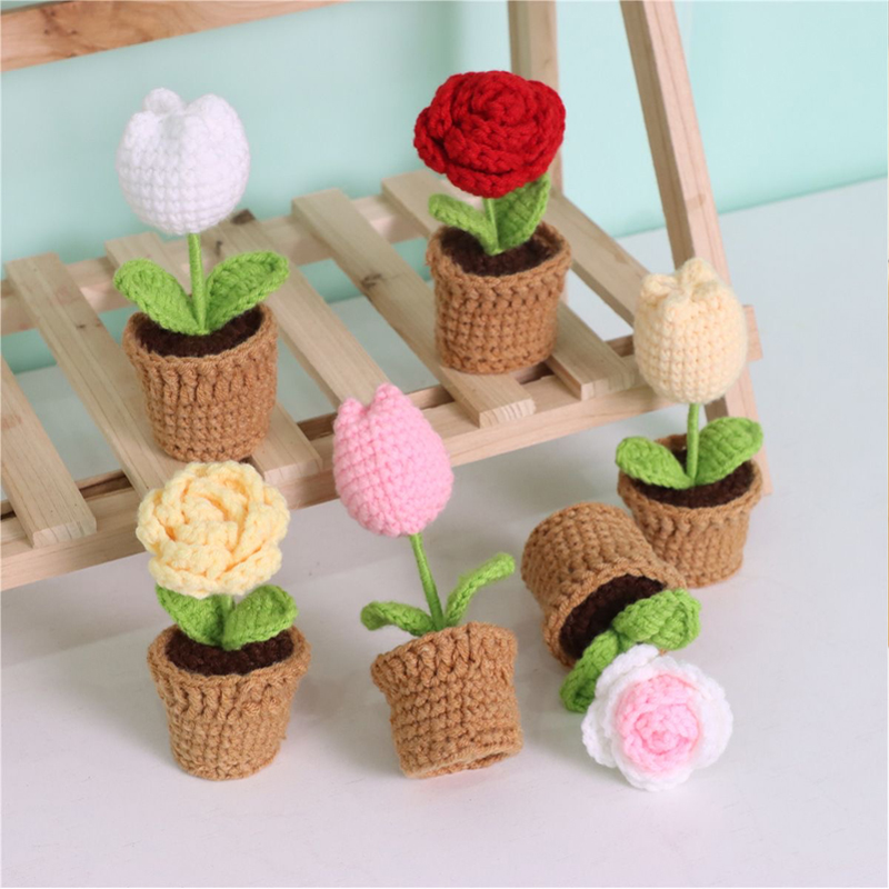 Mini Rosa in Vaso Intrecciata  - Plant Pot Small Desk recensione e prezzo