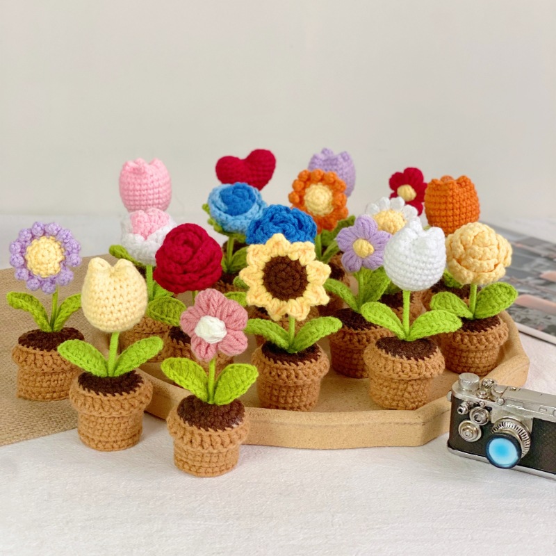 Mini Rosa in Vaso Intrecciata  - Plant Pot Small Desk recensione e prezzo