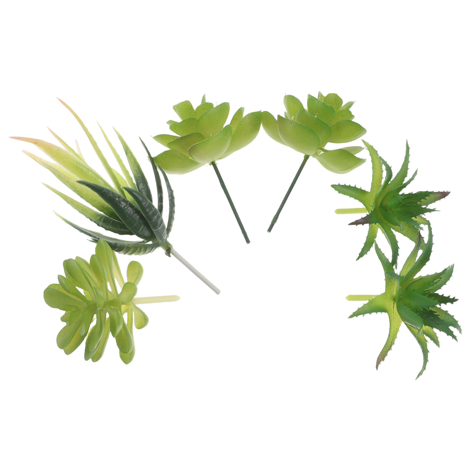 Set di 6 Piante Succulente Art - Plant Pot Small Desk recensione e prezzo