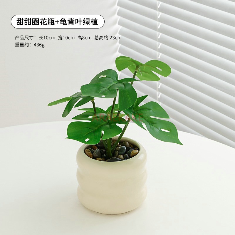 Decorazioni per piante di fior - Plant Pot Small Desk recensione e prezzo